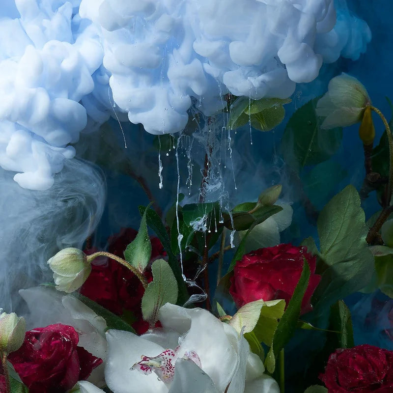 A close-up artistic still life of white and red flowers with green leaves, overlaid by dramatic blue and white smoke and dripping water effects.