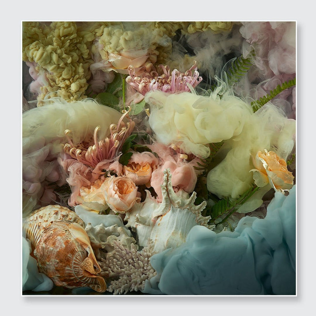 A square floral still life artwork featuring pastel pink and cream flowers, soft cloud-like textures, and seashells arranged together on a white background with a thin gray border.