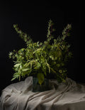A lush green floral arrangement featuring maple leaves, small green berries, and delicate grasses, presented in a dark glass vase draped over a beige fabric surface against a solid black background.