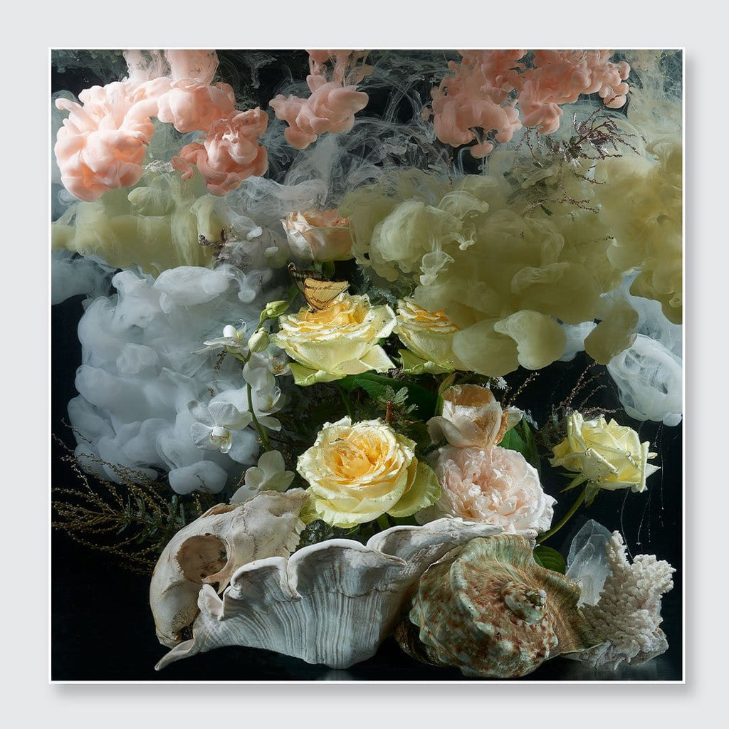 A square floral still-life artwork featuring pale yellow and blush pink roses arranged with large seashells against a dark background, with soft pink, cream, and white smoke or cloud forms rising above.