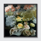 A framed square art print featuring a still life composition of soft peach, cream, and yellow flowers with white and beige seashells on a dark background, shown against a light gray wall.
