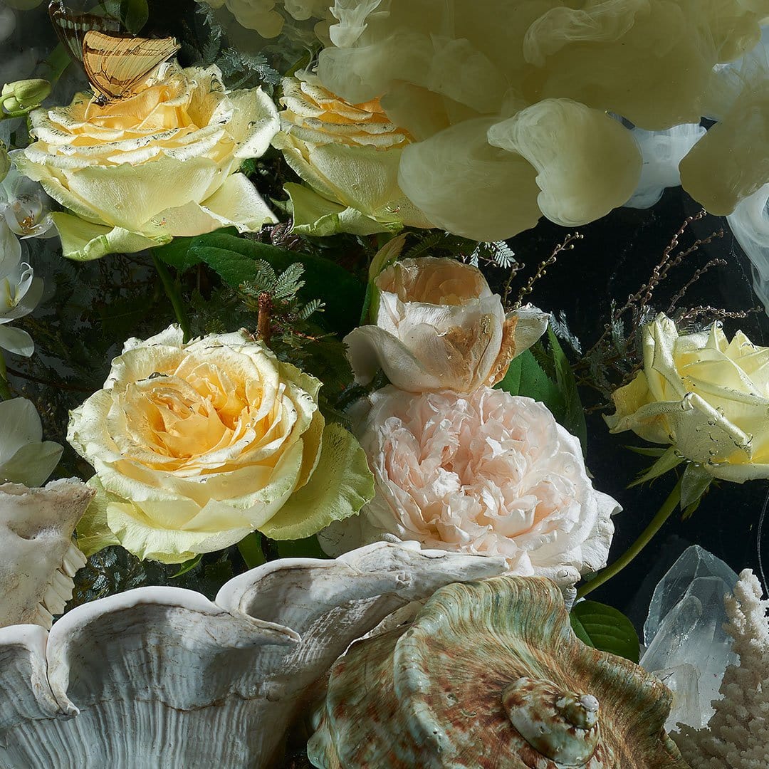 A close-up floral arrangement featuring pale yellow and blush pink roses with green leaves, set against a dark background with decorative seashell and crystal props.