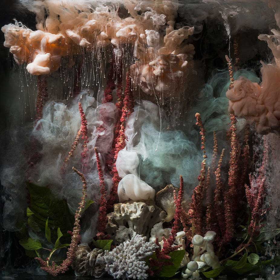 An abstract, painterly scene with layered clouds, smoky forms, coral-like structures, and organic shapes in muted peach, pink, teal, gray, white, and dark charcoal tones.