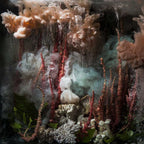 An abstract, painterly scene with layered clouds, smoky forms, coral-like structures, and organic shapes in muted peach, pink, teal, gray, white, and dark charcoal tones.