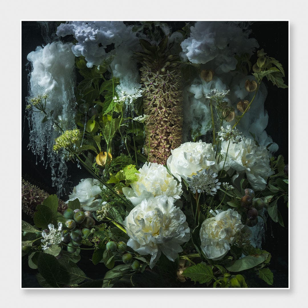 A moody floral still life print featuring white peonies, green foliage, and textured white smoke against a dark background, presented with a thin white border.
