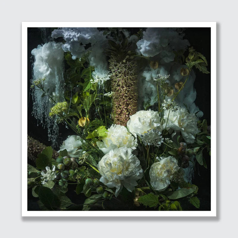A framed floral still life artwork featuring white flowers, green leaves, and textured botanical elements against a dark background, presented with a white border on a light gray backdrop.